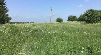 Продам земельный участок, г. Шильмяшево, Вологодская обл., Россия, агентство JCat. Фотография №1