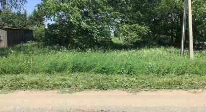 Купить земельный участок в г. Шильмяшево. Фотография №3