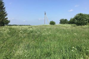 Продам земельный участок, г. Шильмяшево, Вологодская обл., Россия, агентство JCat