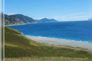 Продам земельный участок, г. Покского типа преображение, Приморский край, Россия, агентство JCat