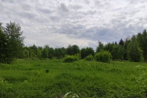 Продам земельный участок, на улице Беговая, г. Шутовщина, Кировская обл., Россия, агентство JCat