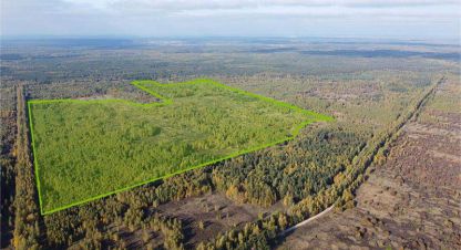 Снять земельный участок в г. Пок варские. Фотография №3