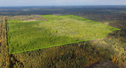 Сдам земельный участок, г. Пок варские, Рязанская обл., Россия, агентство JCat. Фотография №1