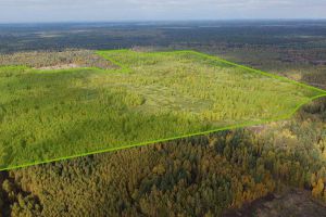 Сдам земельный участок, г. Пок варские, Рязанская обл., Россия, агентство JCat