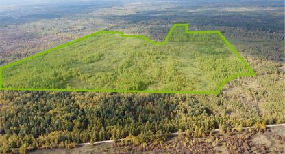 Снять земельный участок в г. Пок варские. Фотография №2