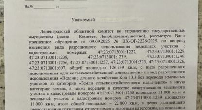 Купить земельный участок в г. Выра. Фотография №3