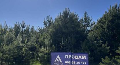 Купить земельный участок. Фотография №1 Продам земельный участок, на улице Лісова, г. Охотин, Волынская обл., Украина, агентство Aspo.biz. Фотография №1