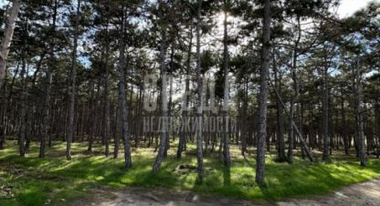 Купить земельный участок г. Таврия. Фотография №4 Купить земельный участок г. Таврия. Фотография №4