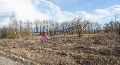 Купить земельный участок в г. Морозовка. Фотография №2