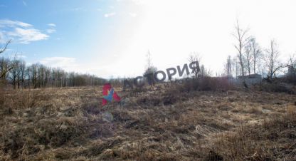 Купить земельный участок в г. Морозовка. Фотография №3