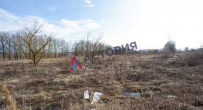 Продам земельный участок, на улице Центральная, г. Морозовка, Тульская обл., Россия, агентство АН Астория. Фотография №1