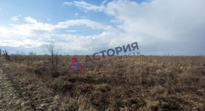 Купить земельный участок, Россия, г. Морозовка. Фотография №8