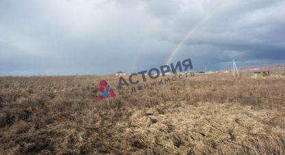 Продаётся земельный участок в г. Морозовка. Фотография №6