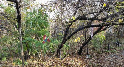 Продаётся 4-х комнатная дом в г. Тула. Фотография №6