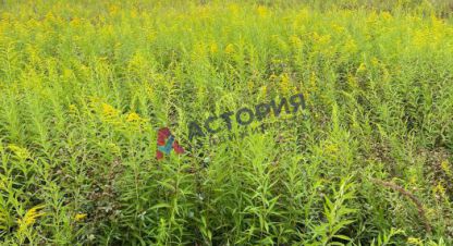 Купить земельный участок в г. Тула. Фотография №3