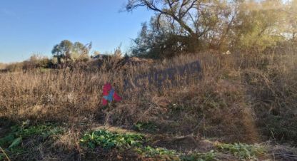 Продаётся земельный участок в г. Ямны. Фотография №7