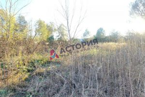 Продам земельный участок, на улице -, Привокзальный район, г. Ямны, Тульская обл., Россия, агентство АН Астория