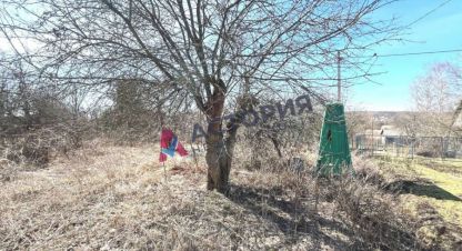 Купить коттедж/дачу 2-х комнатную, 28.5 кв. м., Россия, г. №37 статистик ( бараново) тер снт. Фотография №10