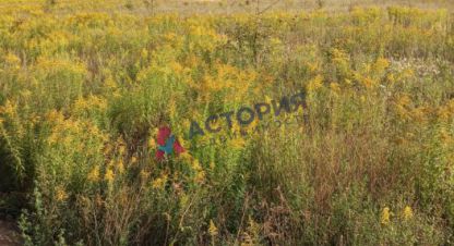 Купить земельный участок в г. Морозовка. Фотография №2 Купить земельный участок в г. Морозовка. Фотография №2