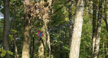 Купить коттедж/дачу 4-х комнатную, 29 кв. м., Россия, г. С/п рождественское. Фотография №8