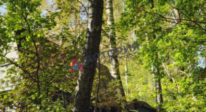 Купить коттедж/дачу 4-х комнатную, 29 кв. м., Россия, г. С/п рождественское. Фотография №9