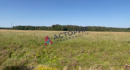 Купить земельный участок в г. Поповка с. Фотография №3