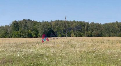 Продаётся земельный участок в г. Поповка с. Фотография №6