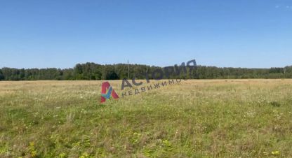 Купить земельный участок в г. Поповка с. Фотография №2