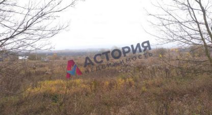 Купить земельный участок в г. Красный яр. Фотография №3