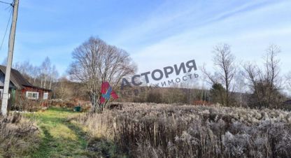 Купить земельный участок в г. Новоселки. Фотография №2 Купить земельный участок в г. Новоселки. Фотография №2