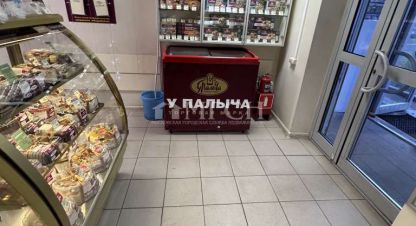 Снять торговое помещение на улице Красного Маяка г. Москва. Фотография №4