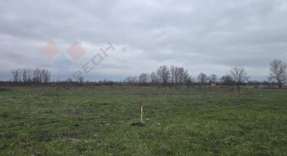Купить земельный участок г. Садовое товарищество заря. Фотография №5 Купить земельный участок г. Садовое товарищество заря. Фотография №5