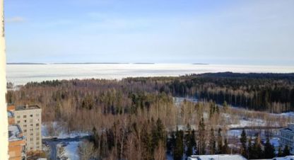 Купить квартиру на улице Карелия петрозаводск кемская г. Петрозаводск. Фотография №5 Купить квартиру на улице Карелия петрозаводск кемская г. Петрозаводск. Фотография №5