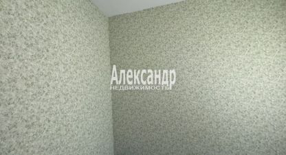 Купить квартиру на улице Санкт-петербурпушкинский  посёлок шушары территория детскосельский центральная  1к1 подъезд г. Посёлок шушары. Фотография №5