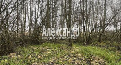 Купить земельный участок, Россия, г. Бегуницы. Фотография №9