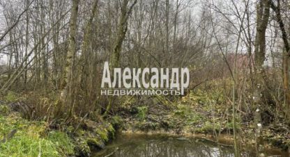 Купить земельный участок, Россия, г. Бегуницы. Фотография №10