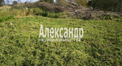 Купить земельный участок в г. Бегуницы. Фотография №3