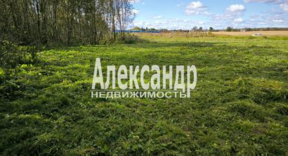 Купить земельный участок на улице Ленинградская волосовский   бегуницы г. Бегуницы. Фотография №4