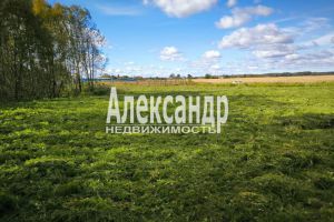 Продам земельный участок, на улице Ленинградская волосовский   бегуницы, Волосовский район, г. Бегуницы, Ленинградская обл., Россия, агентство Александр-Недвижимость