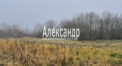 Продаётся земельный участок в г. Бегуницы. Фотография №7