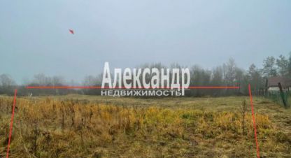 Купить земельный участок на улице Ленинградская волосовский   бегуницы г. Бегуницы. Фотография №5