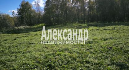 Купить земельный участок в г. Бегуницы. Фотография №2