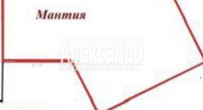 Сдам торговое помещение с общей площадью 316м2, на улице Ленинградская гатчина пушкинское шоссе, Гатчинский район, г. Гатчина, Ленинградская обл., Россия, агентство Александр-Недвижимость. Фотография №1