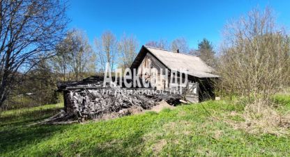 Купить земельный участок в г. Поддубье. Фотография №2