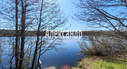 Продаётся земельный участок в г. Поддубье. Фотография №7