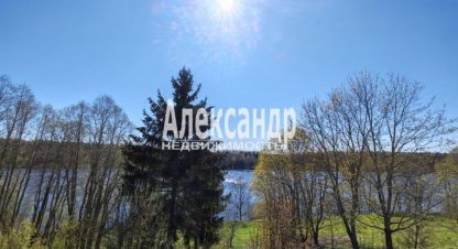 Продаётся земельный участок в г. Поддубье. Фотография №6