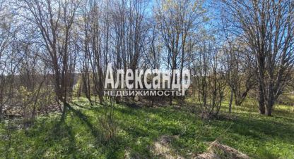 Купить земельный участок на улице Ленинградская лужский  оредежское сельское поселение  поддубье озёрная г. Поддубье. Фотография №5
