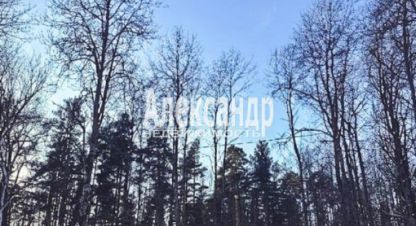 Продаётся земельный участок в г. Выборг. Фотография №6 Продаётся земельный участок в г. Выборг. Фотография №6
