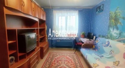 Продаётся 3-х комнатная квартира в г. Мурино. Фотография №6 Продаётся 3-х комнатная квартира в г. Мурино. Фотография №6