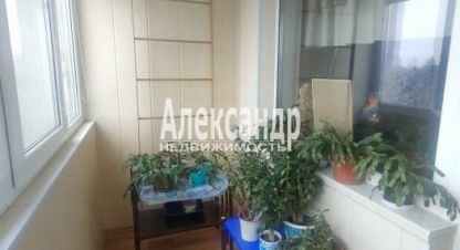 Купить 3-х комнатную квартиру на улице Ленинградская всеволожский мурино оборонная г. Мурино. Фотография №4 Купить 3-х комнатную квартиру на улице Ленинградская всеволожский мурино оборонная г. Мурино. Фотография №4